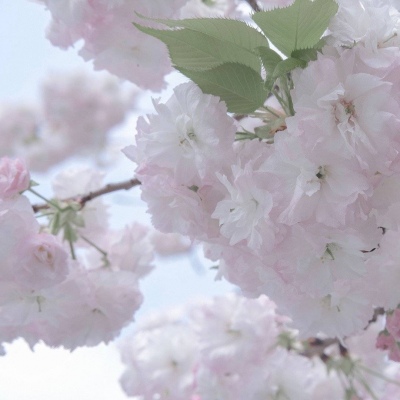 兽设晴天场景设计Furry群